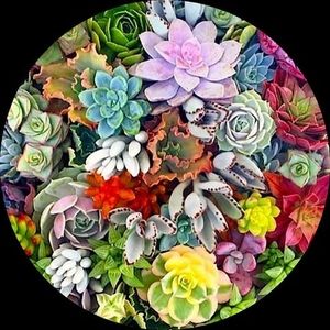 Meet your Posher, Jean